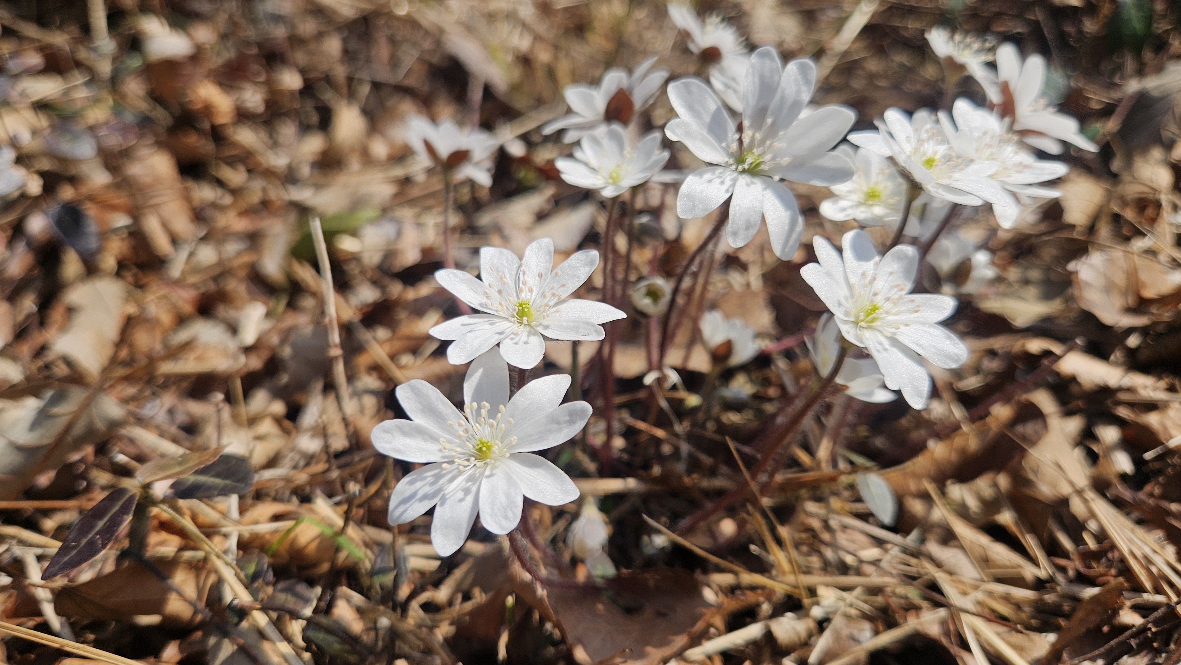 수고하신분들을 칭찬합니다. 첨부#4