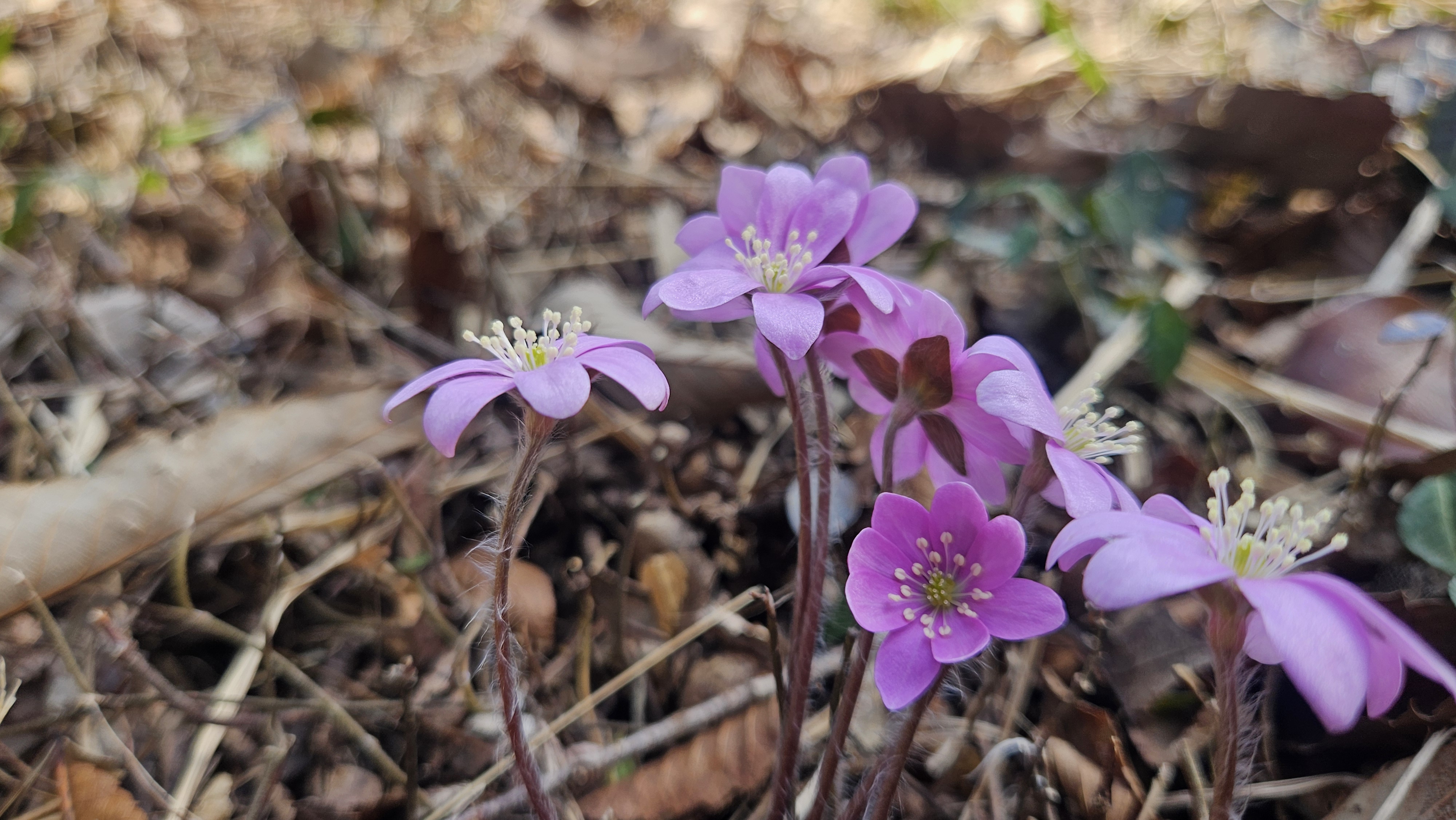 수고하신분들을 칭찬합니다. 첨부#5