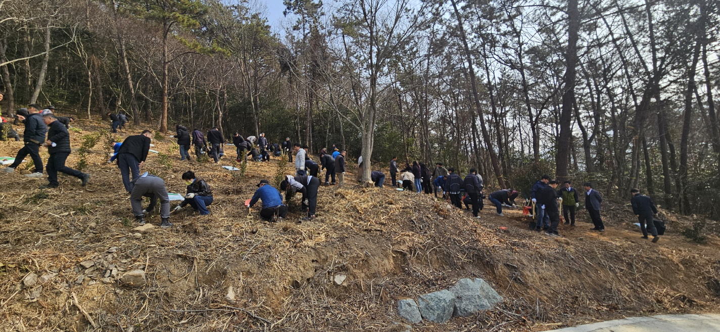 진도군, 제81회 식목일 기념 ‘나무심기 행사’ 성료 첨부#5
