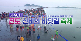 제46회진도 신비의 바닷길 축제 이미지