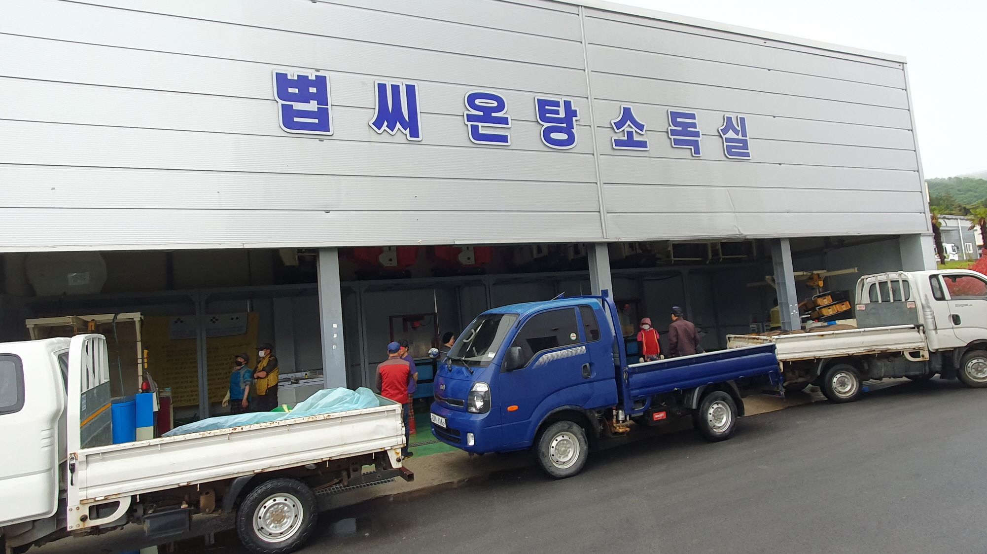 진도군, ‘친환경 온탕소독장 운영’ 첨부#1