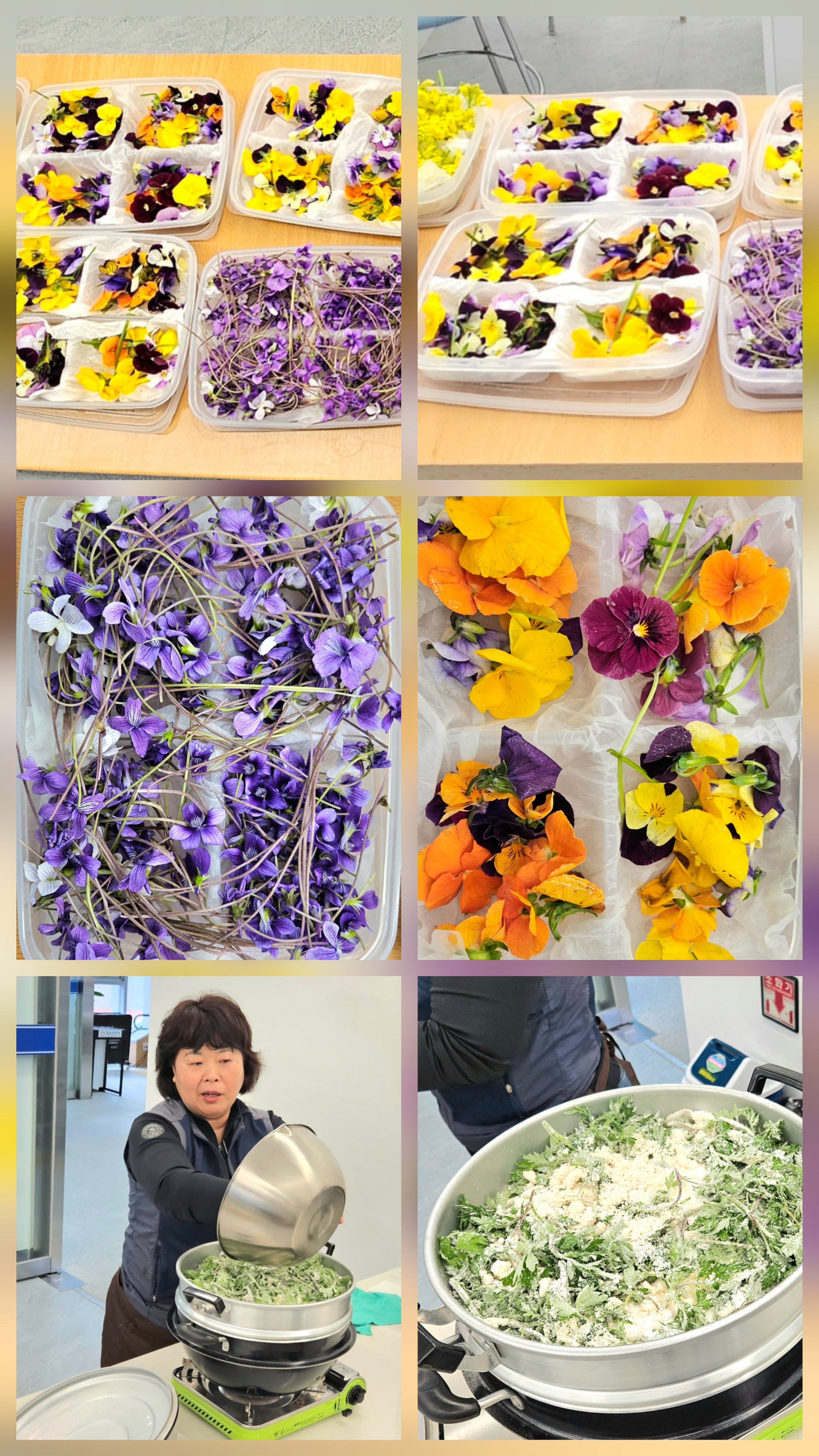 진도군 청소년 문화의 집 칭찬합니다♥ 첨부#2