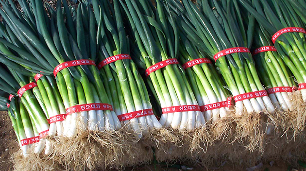 pa2.jpg